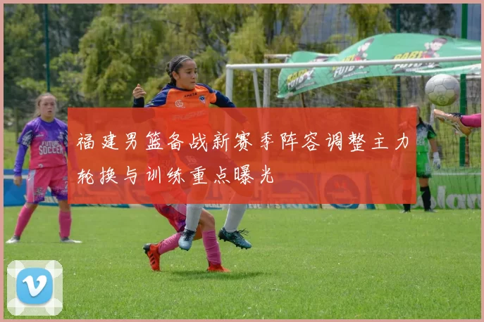 福建男篮备战新赛季阵容调整主力轮换与训练重点曝光