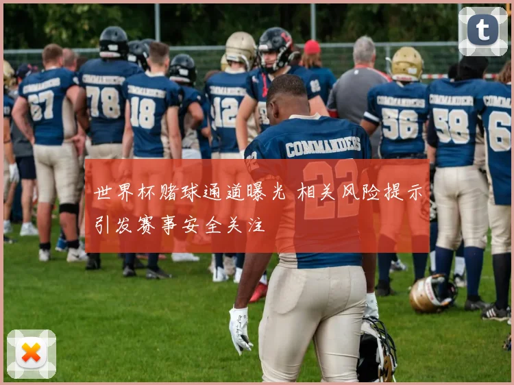 世界杯赌球通道曝光 相关风险提示引发赛事安全关注