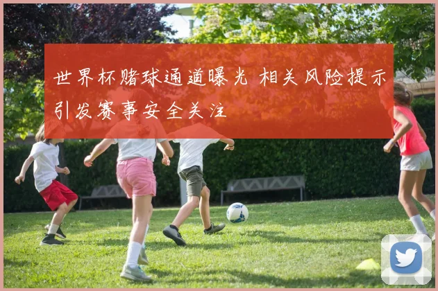 世界杯赌球通道曝光 相关风险提示引发赛事安全关注