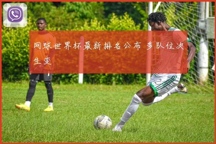 网球世界杯最新排名公布 多队位次生变