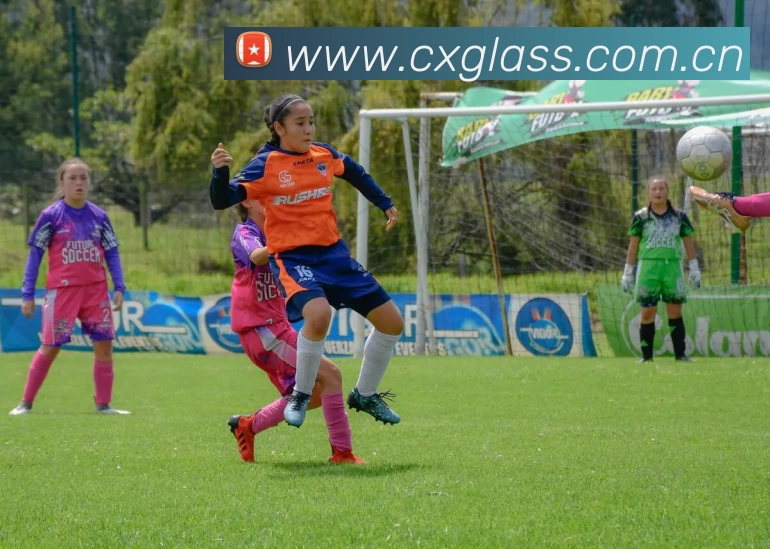 足球世界杯官网中文版发展历程